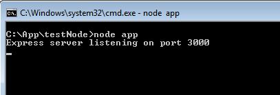 Executing Node App